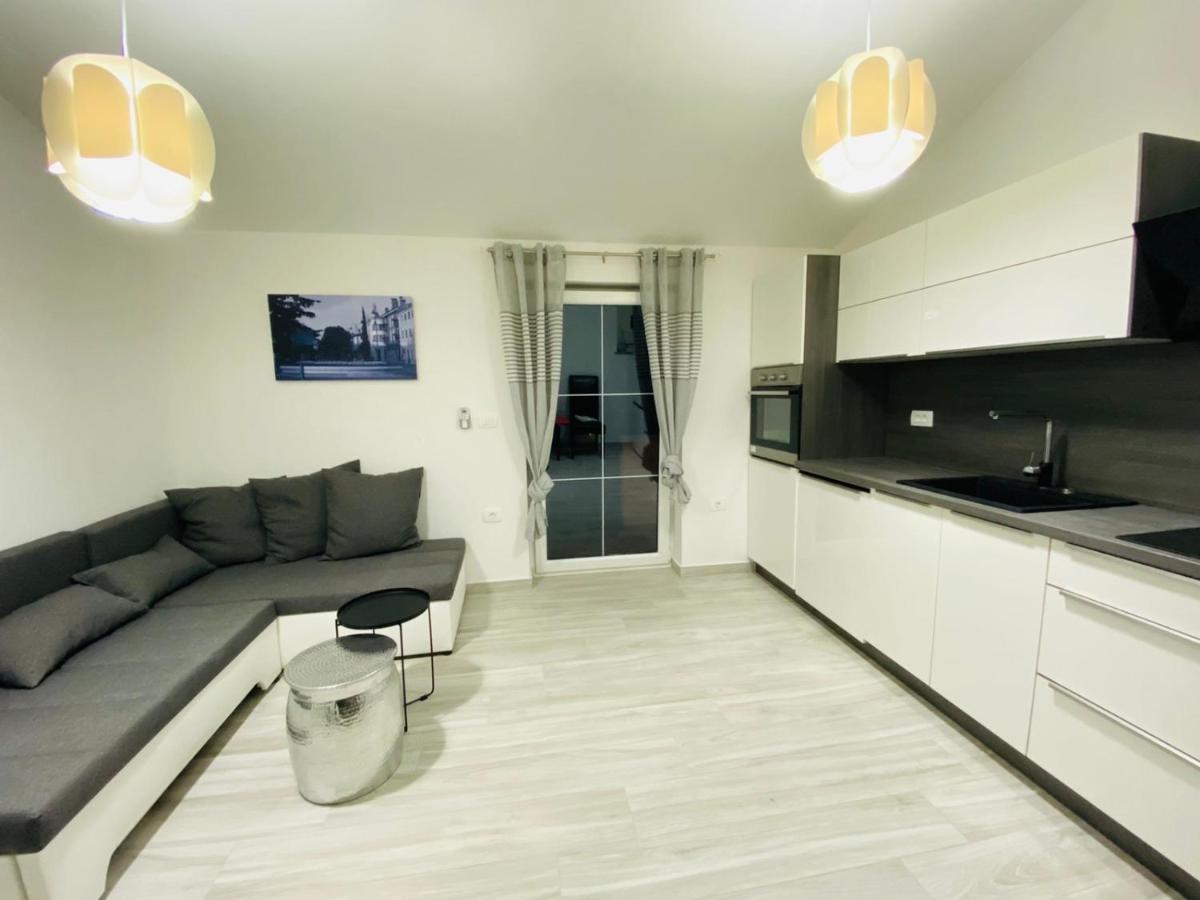 Apartma Mija-Dekani エクステリア 写真
